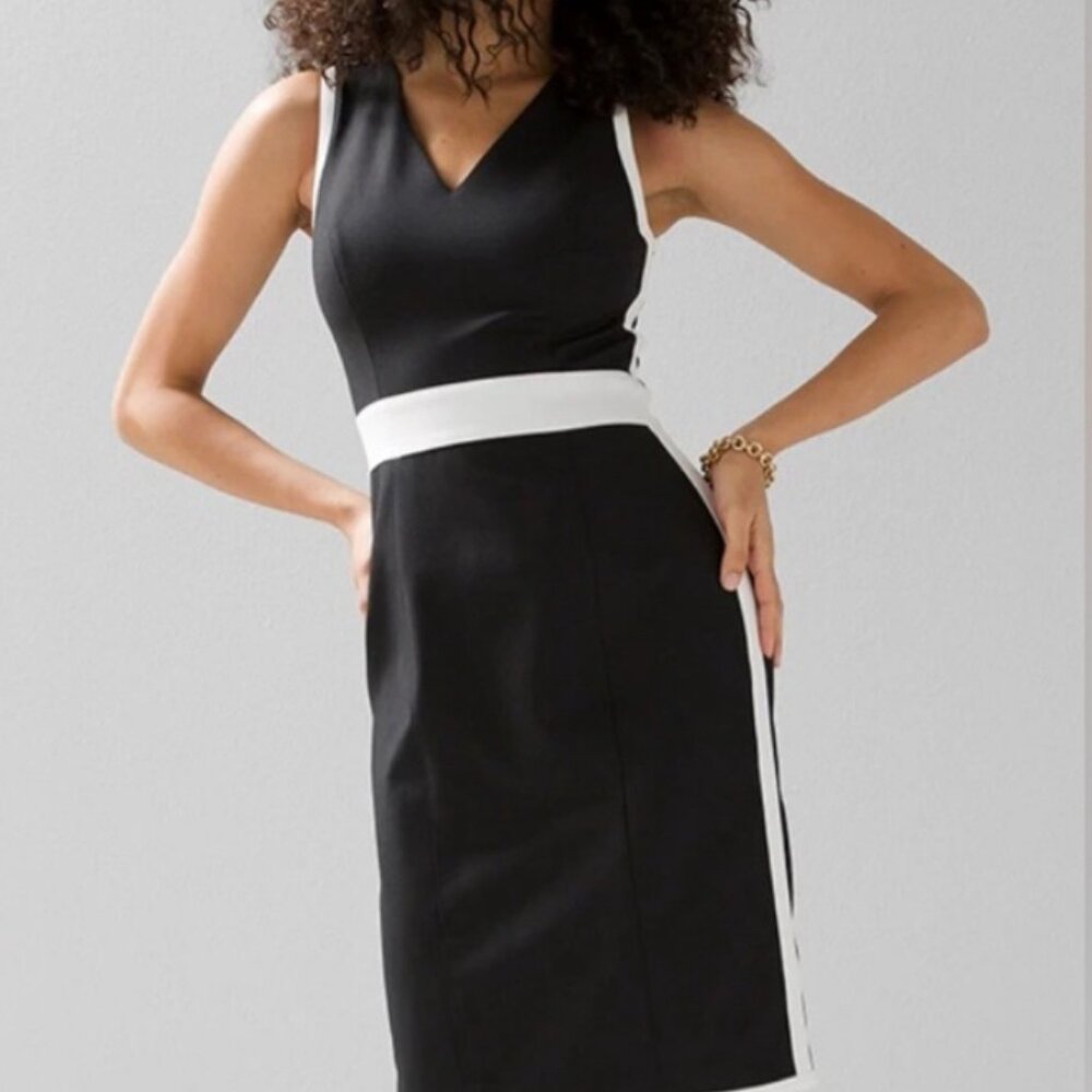NWOT. White House Black Market Sleeveless V-Neck Colorblock Sheath